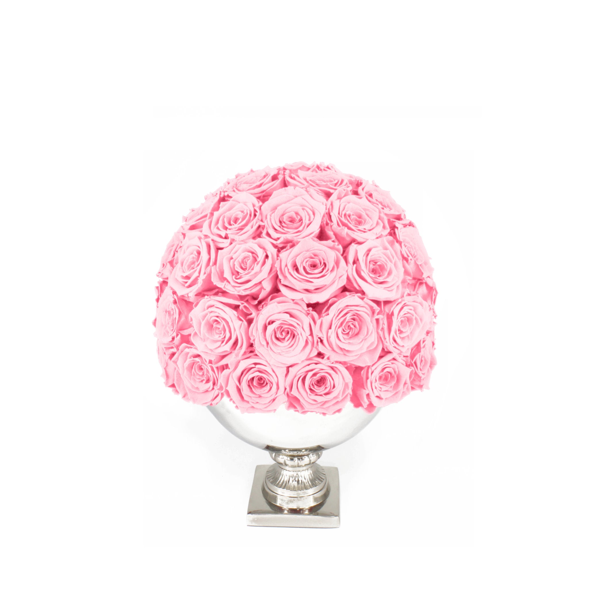 Pink rose ball in a white vase on a white background