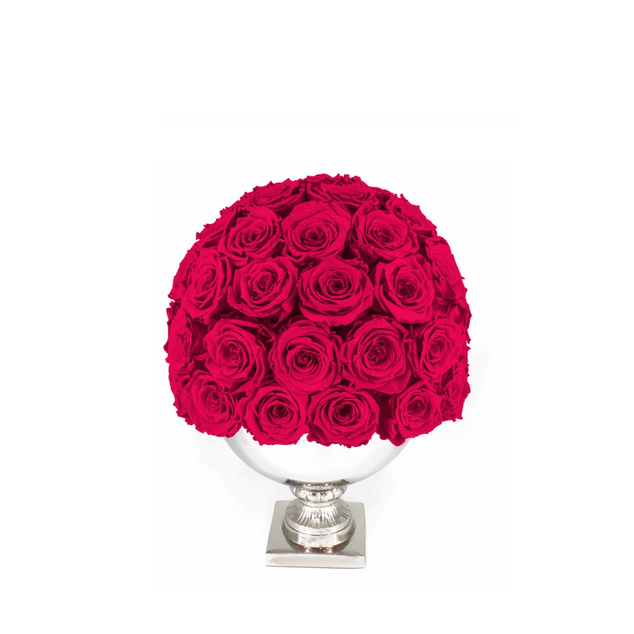 Bouquet of red roses in a white vase on a white background