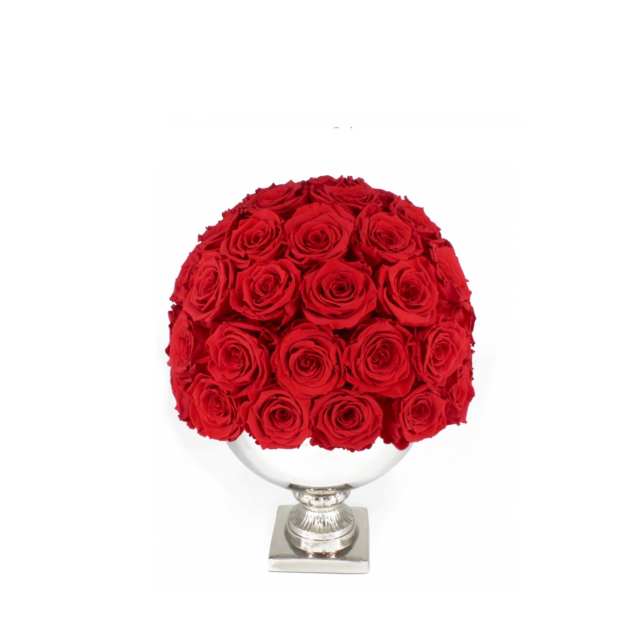 Bouquet of red roses in a white vase on a white background