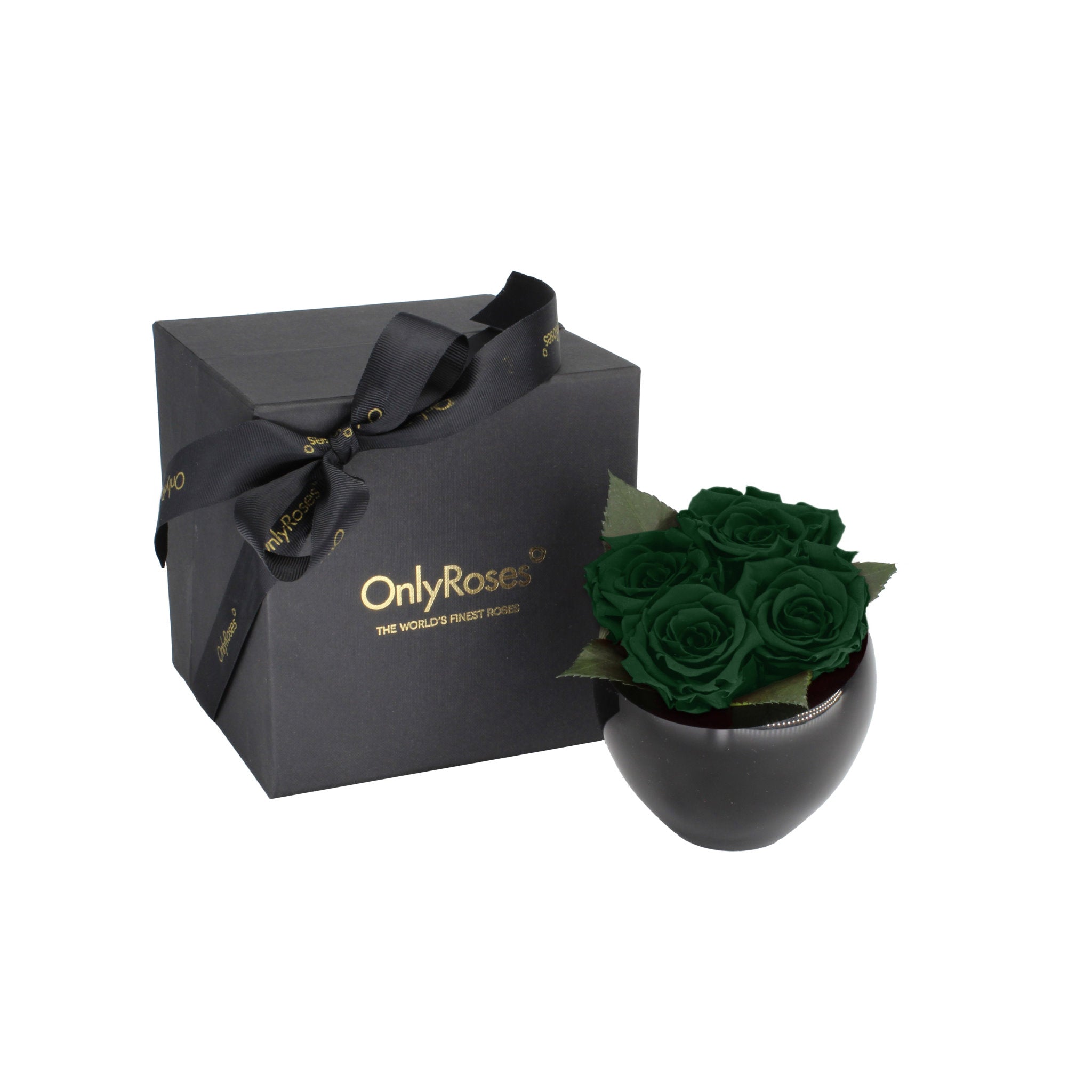 Black box with a bow and 'Only Roses' branding next to a black vase with green roses on a white background