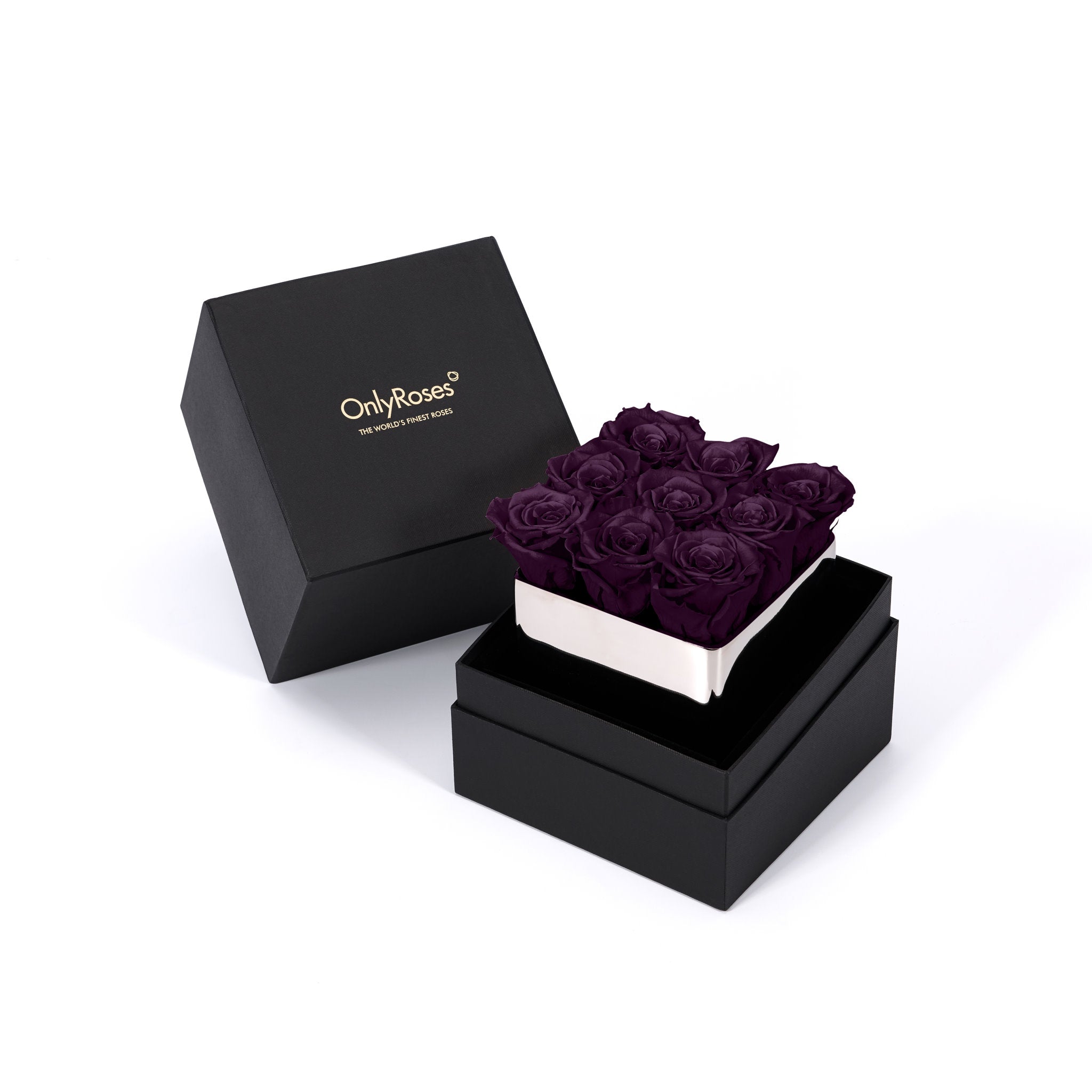 Black box with purple preserved roses and 'Only Roses' branding on a white background