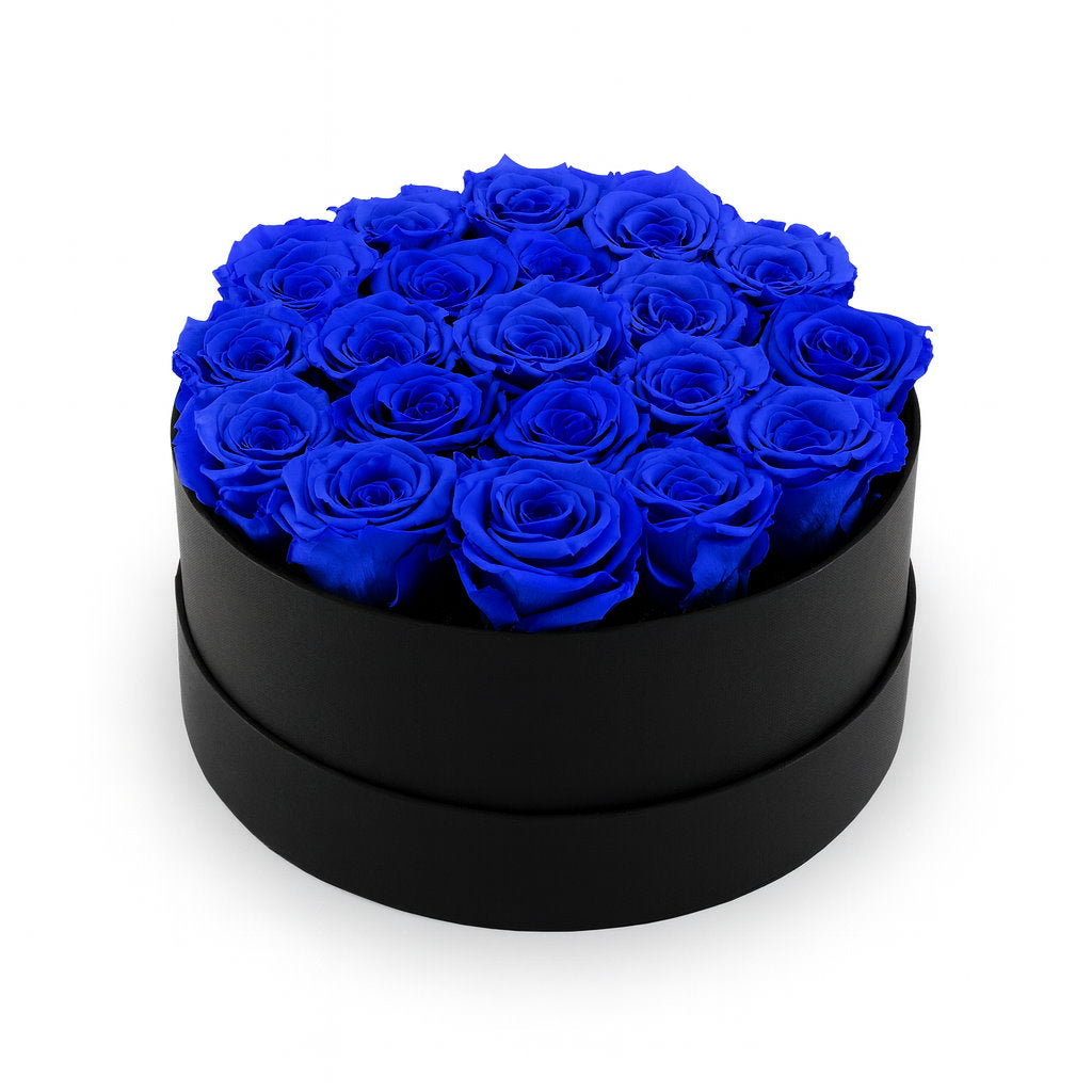 Black round box filled with blue roses on a white background