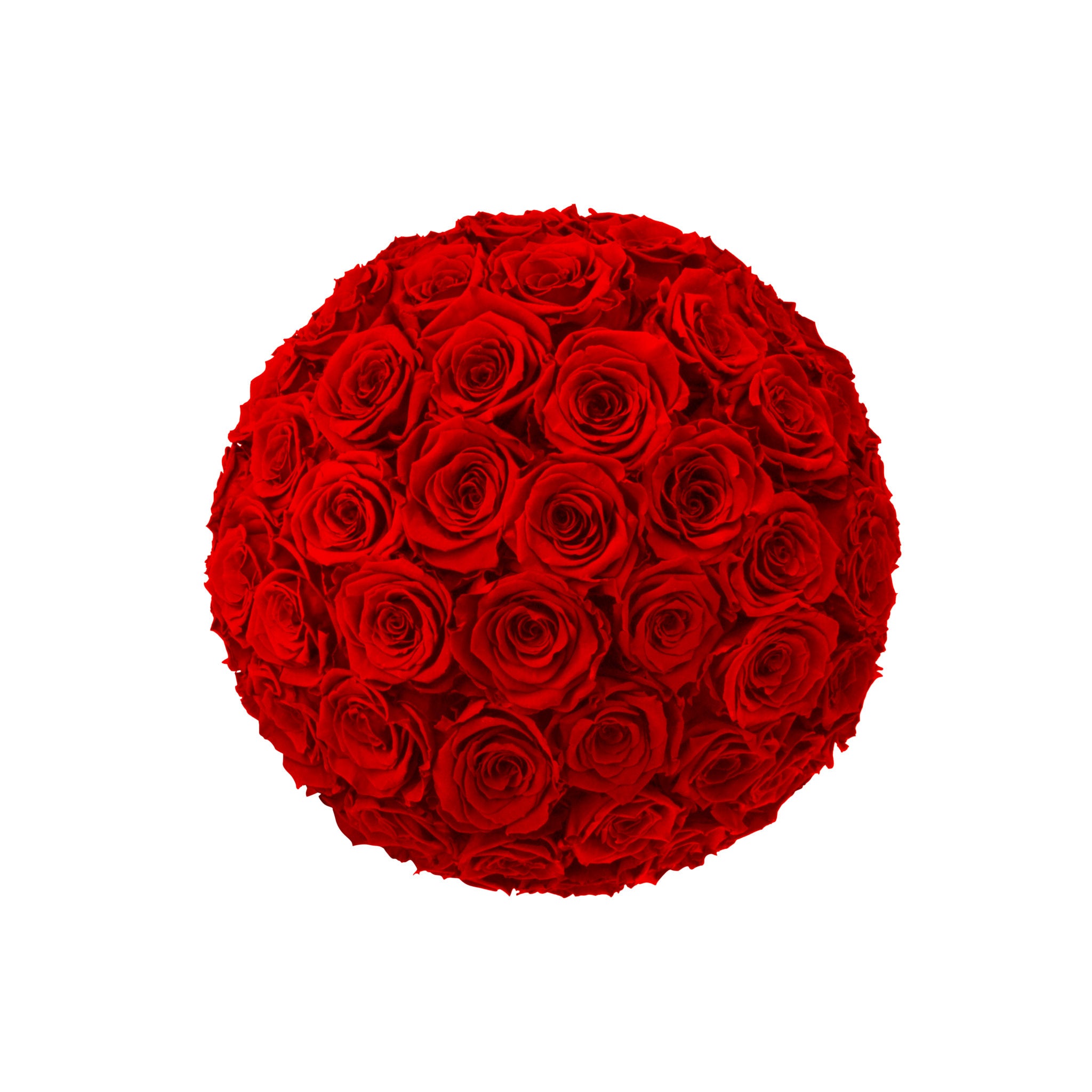 Round bouquet of red roses on a white background