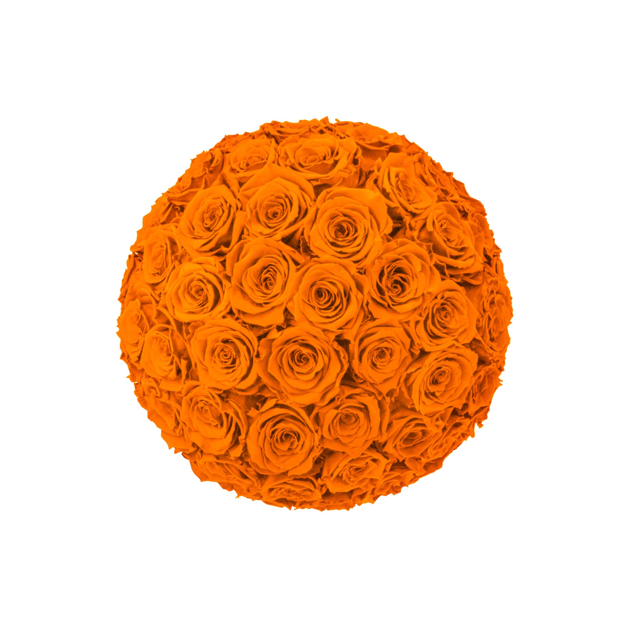 Ball of orange roses on a white background