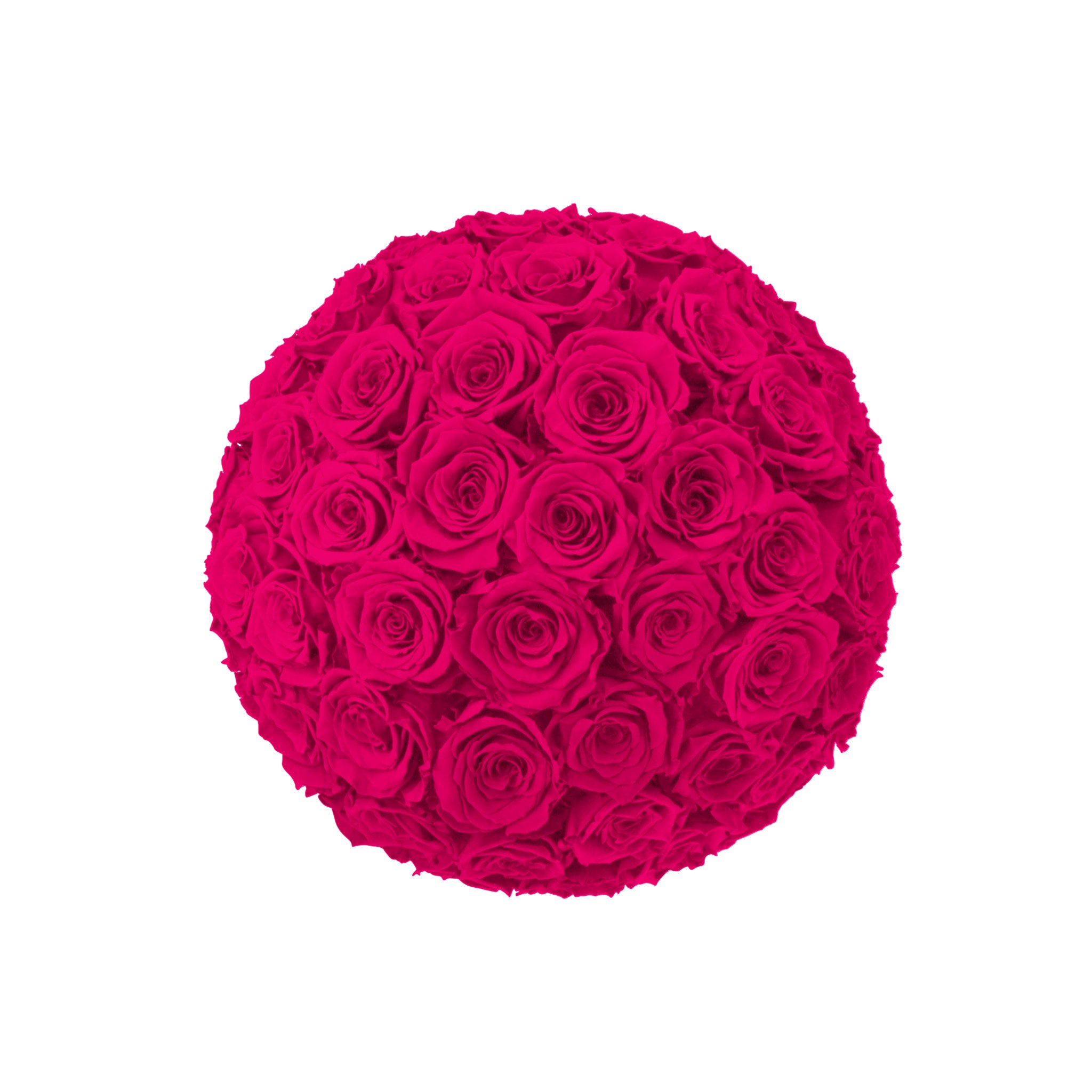Ball of pink roses on a white background