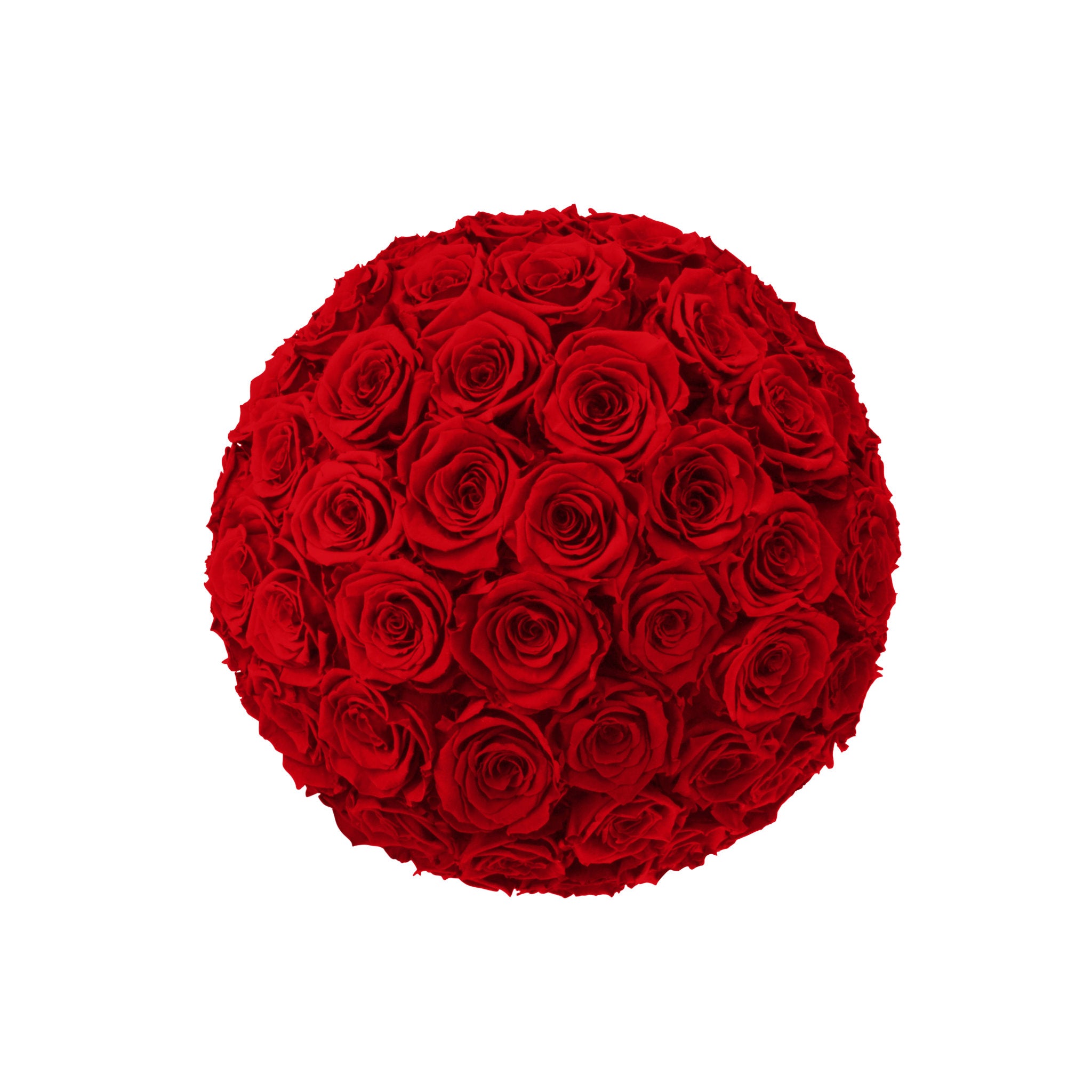 Round bouquet of red roses on a white background