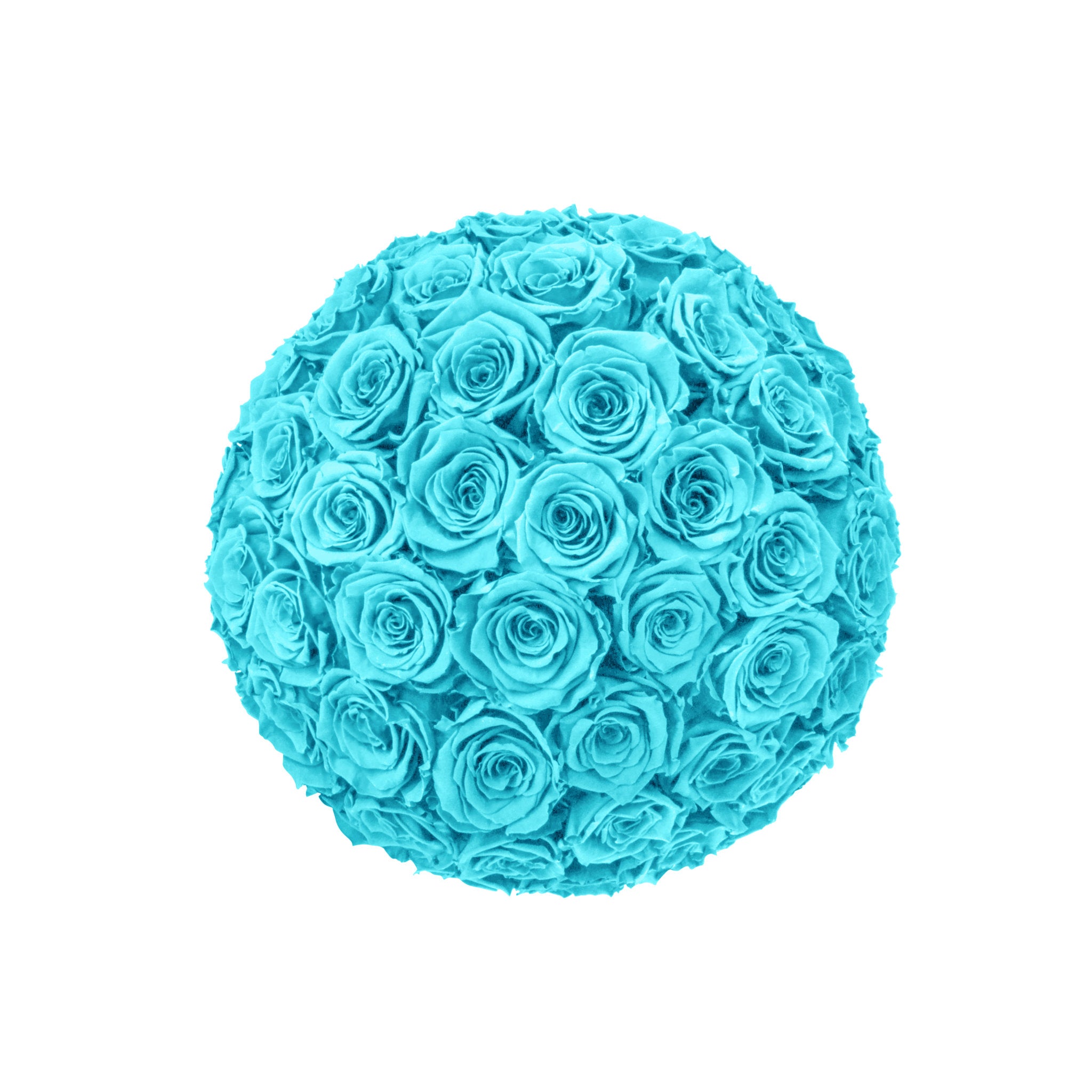 Turquoise rose ball on a white background
