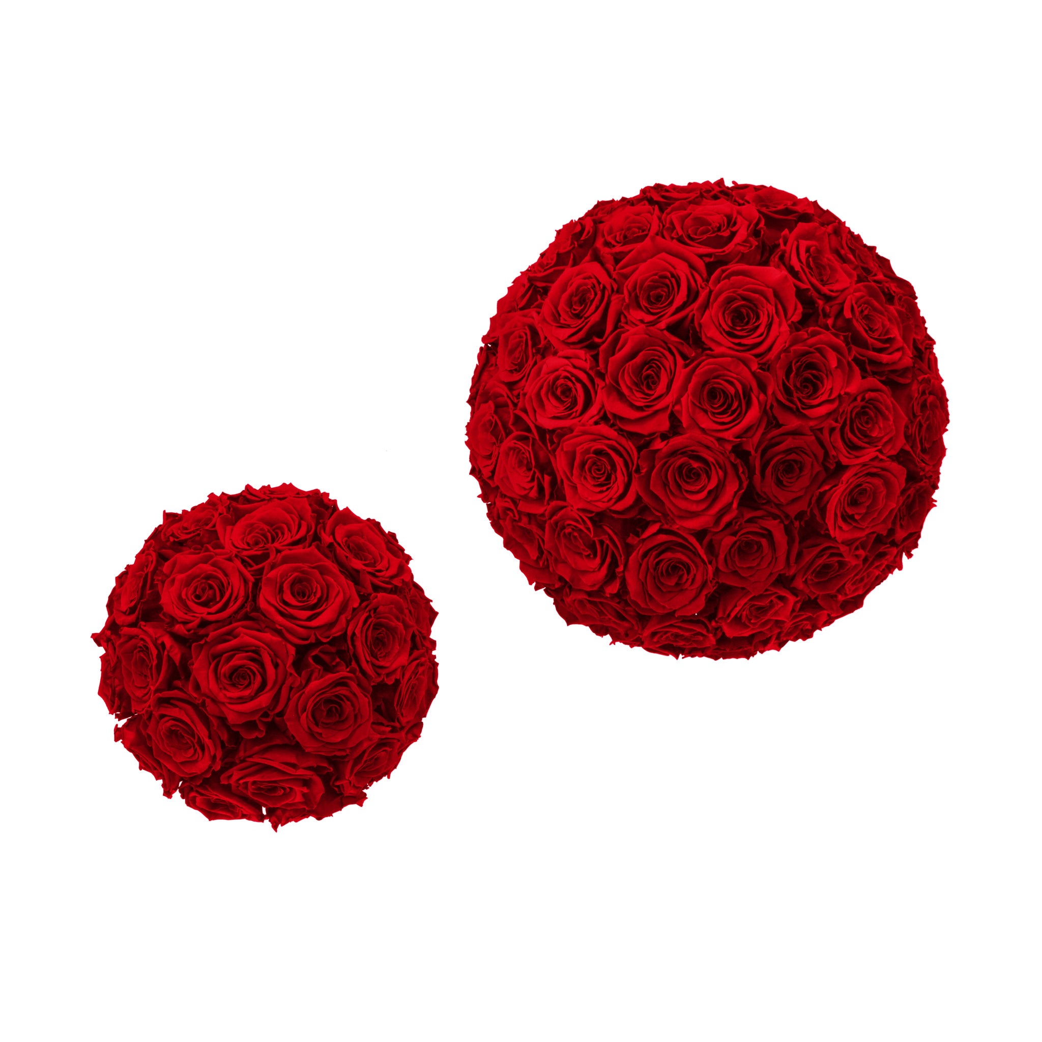 Two spherical arrangements of red roses on a white background