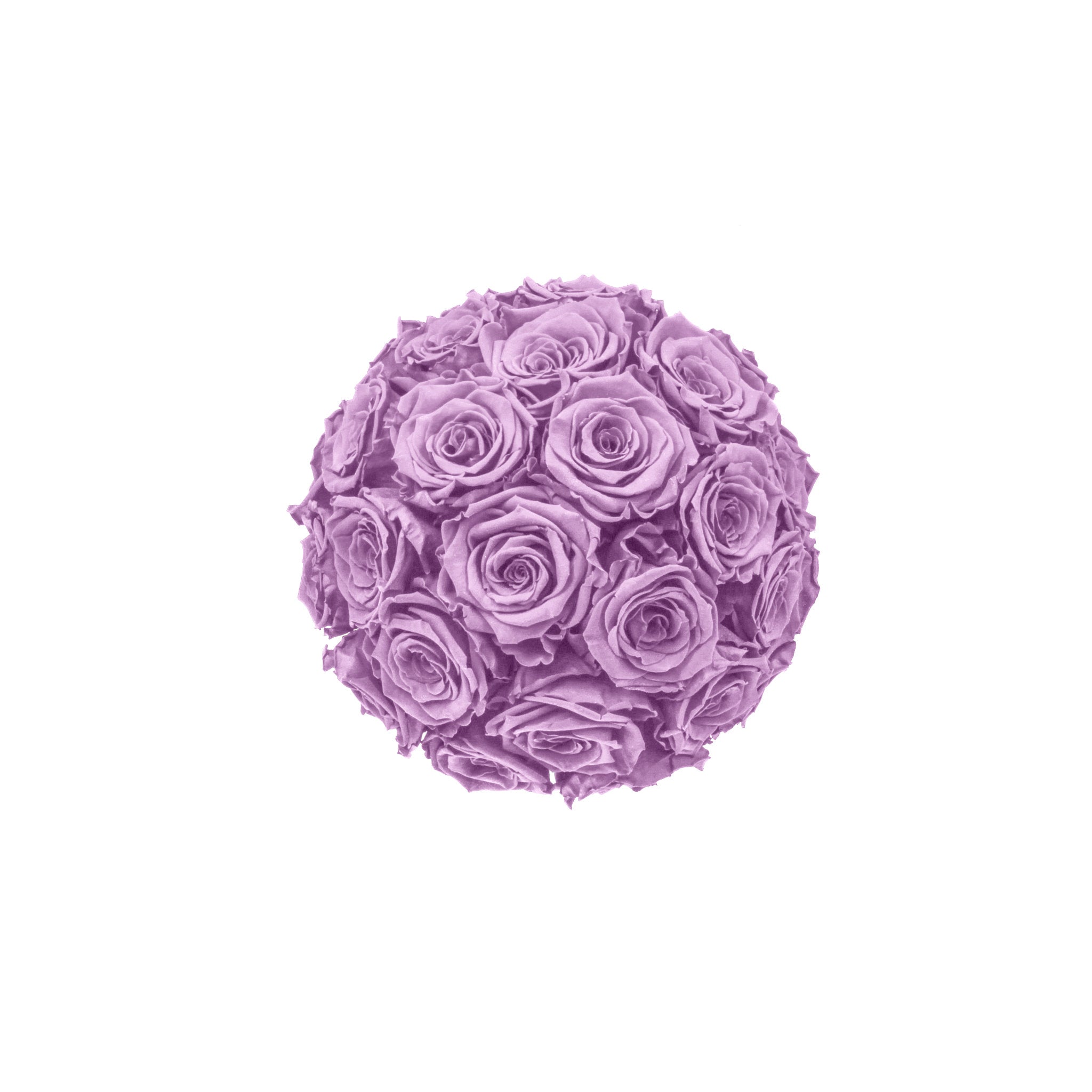 Purple flower ball on a white background
