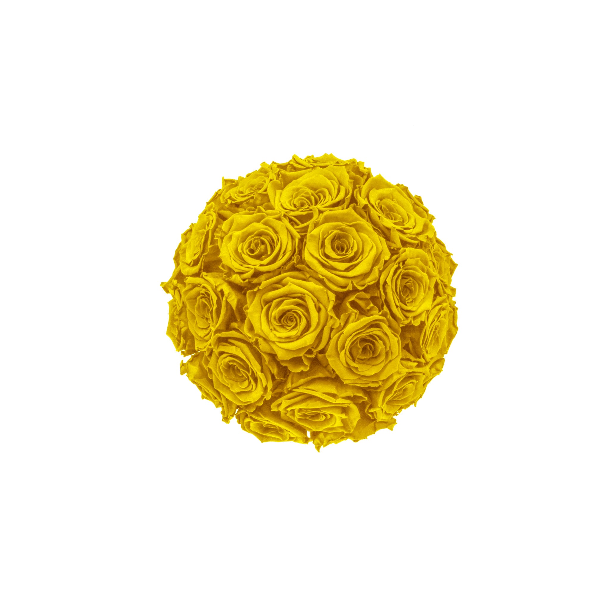 Yellow rose ball on a white background
