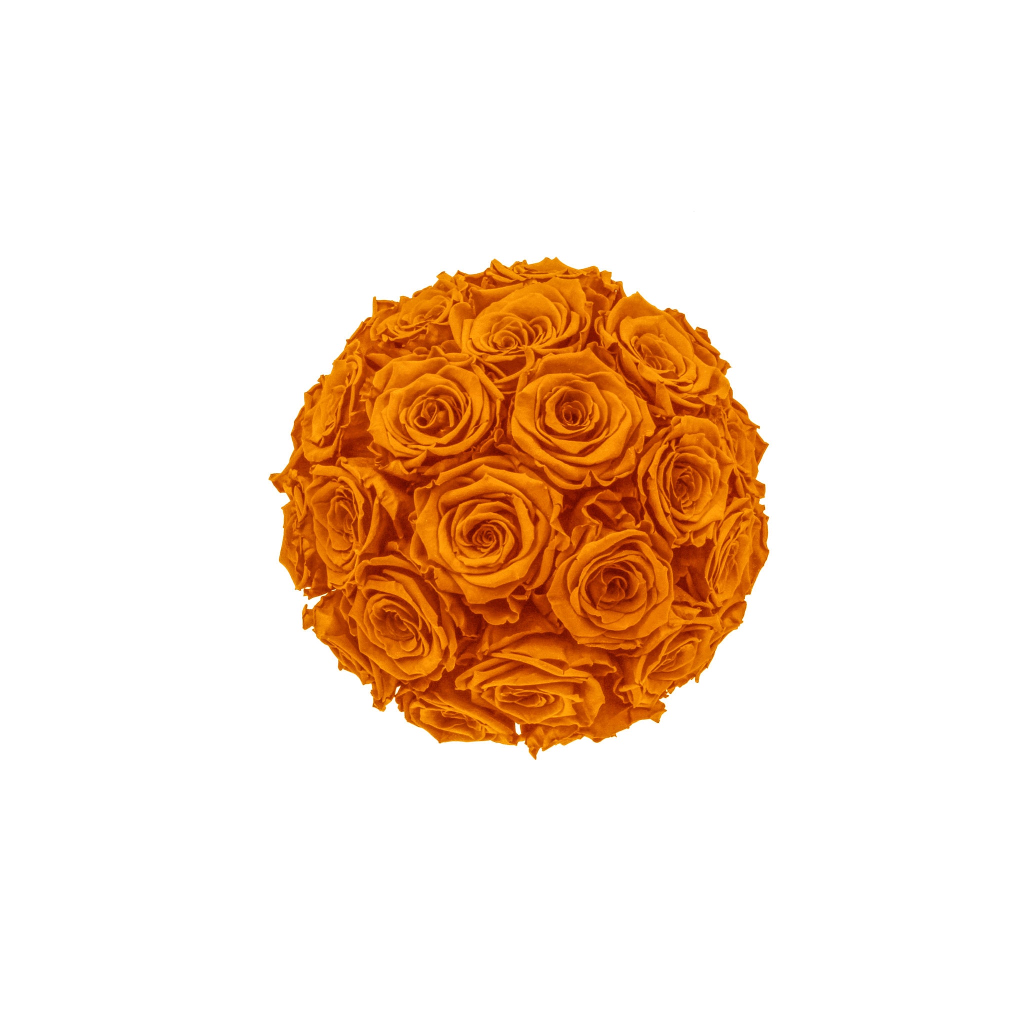 Ball of orange roses on a white background