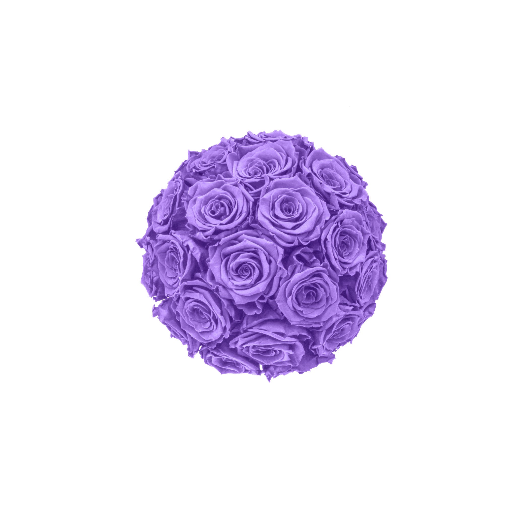 Purple rose ball on a white background