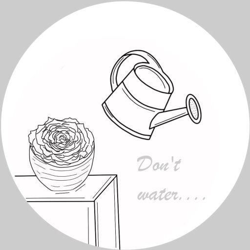 Black and white illustration of a rose and watering can with 'Don't water' text on a gray background.