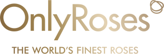 OnlyRoses - Qatar