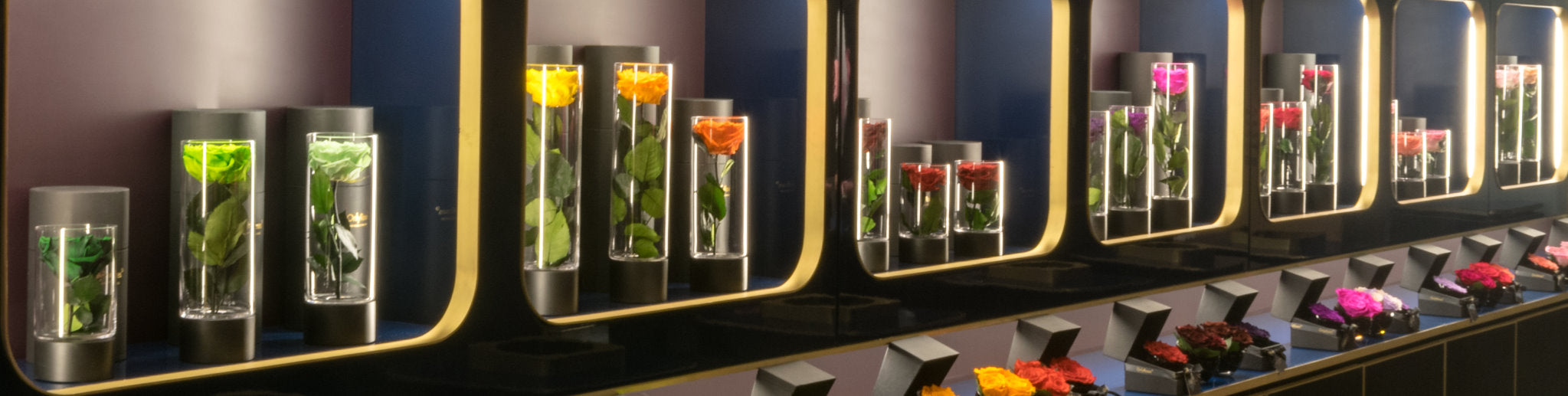 4 Reasons Why Infinite Roses Make The Perfect Gift