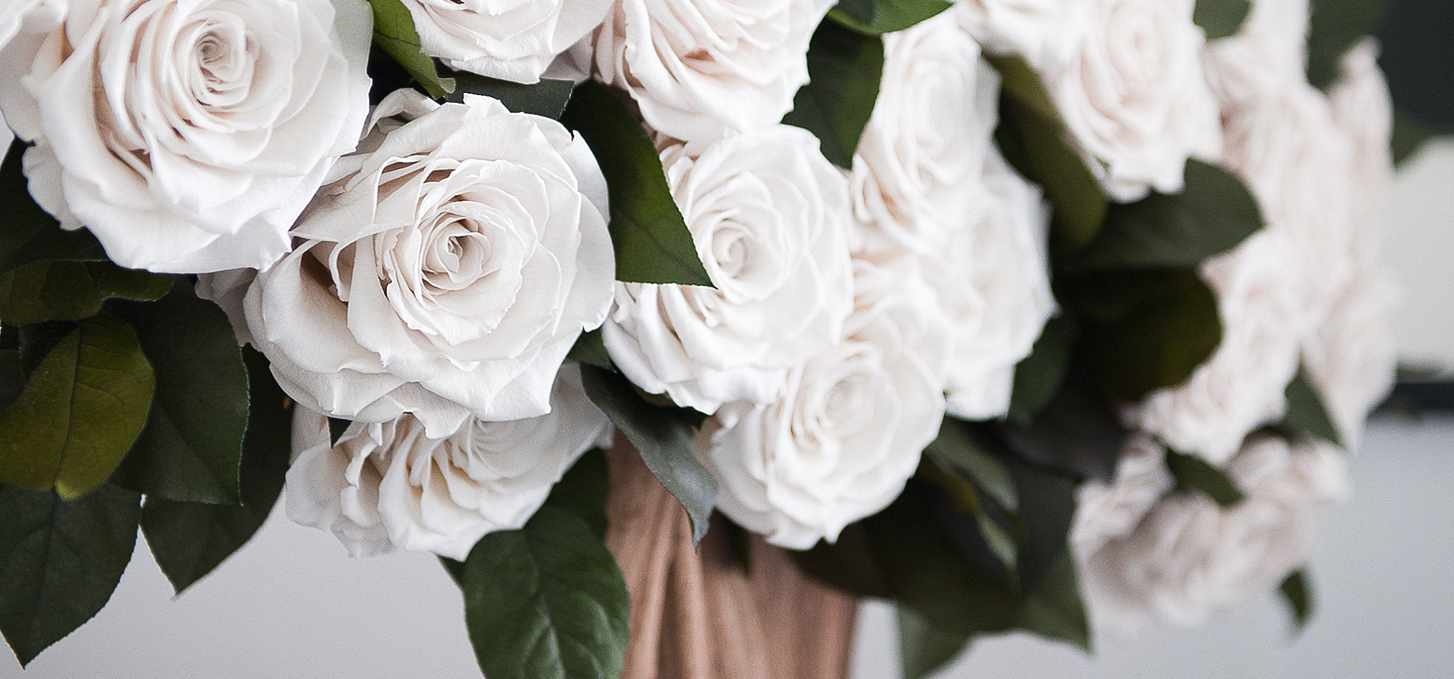 Infinite Roses - Create a Lasting Memory