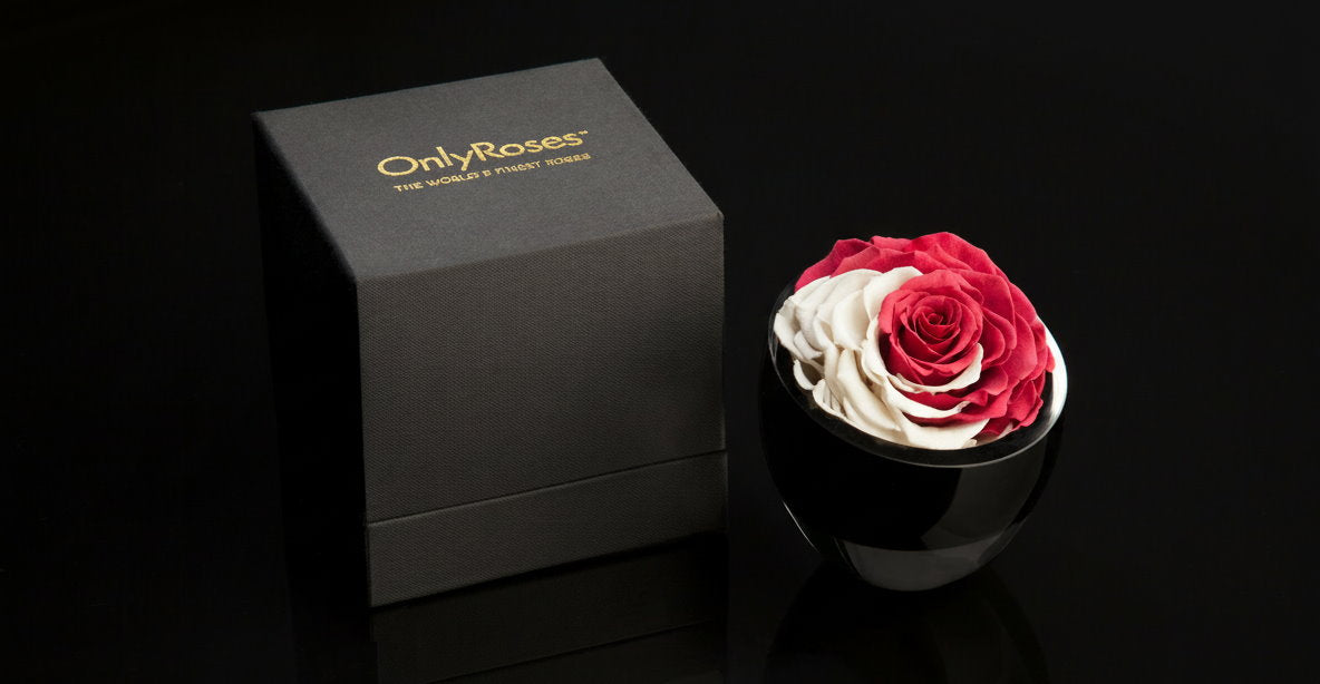 Qatar National Day The Infinite Rose