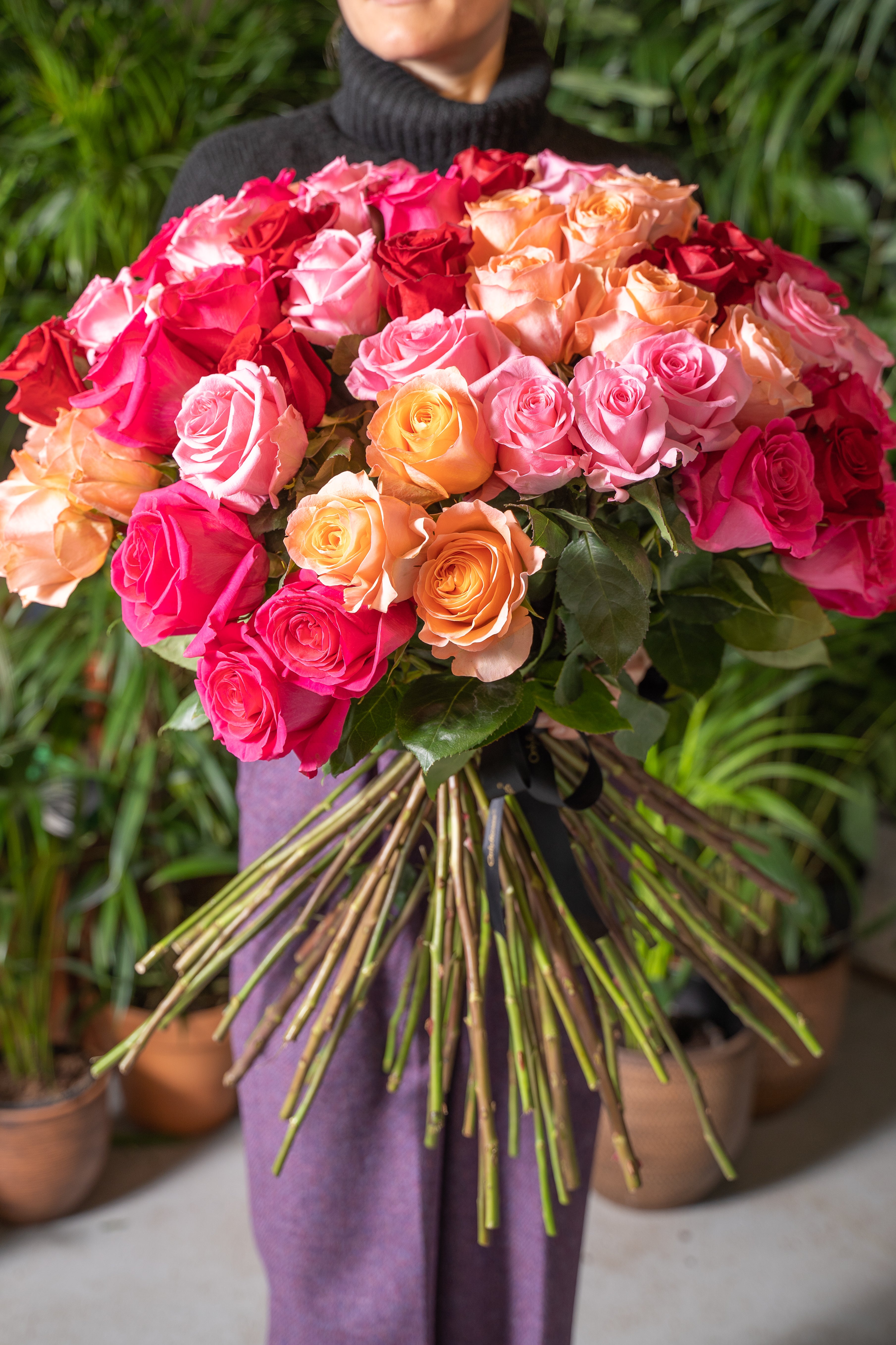 Bouquet of colorful roses held by a person with plants in the background