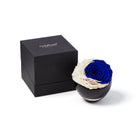 Crescent Moon Infinite Rose