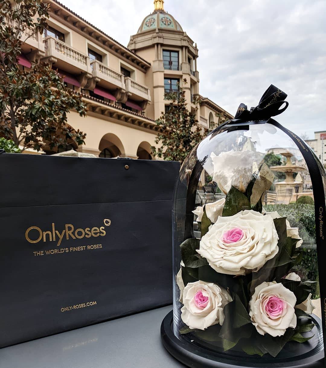 Floral arrangement in a glass dome with 'Only Roses' branding in the background.