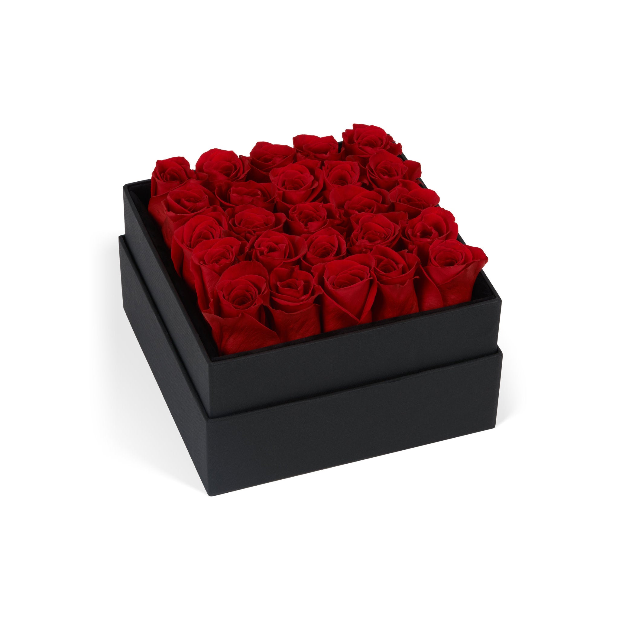 Black box filled with red roses on a white background