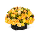 Bouquet of yellow roses with green leaves and red berries in a black box on a white background