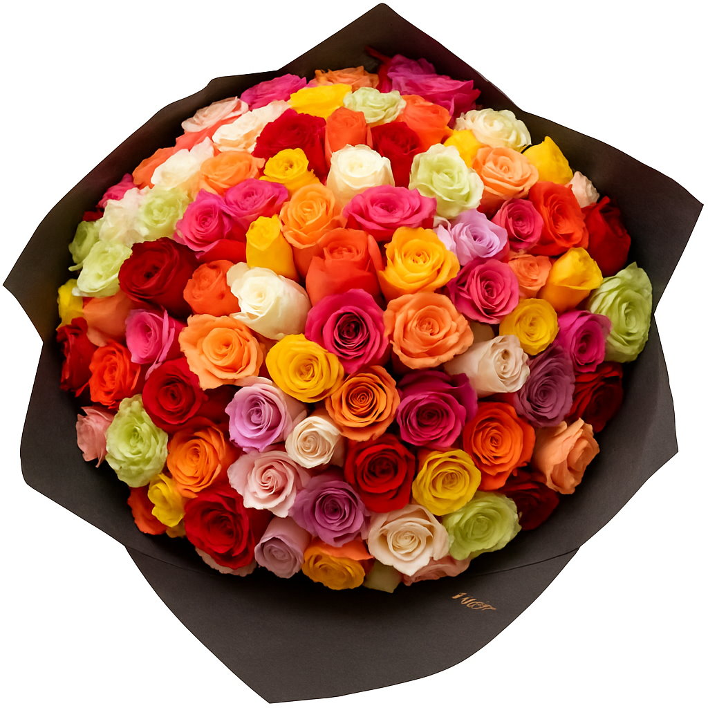 Colorful bouquet of roses in a black wrap on a white background