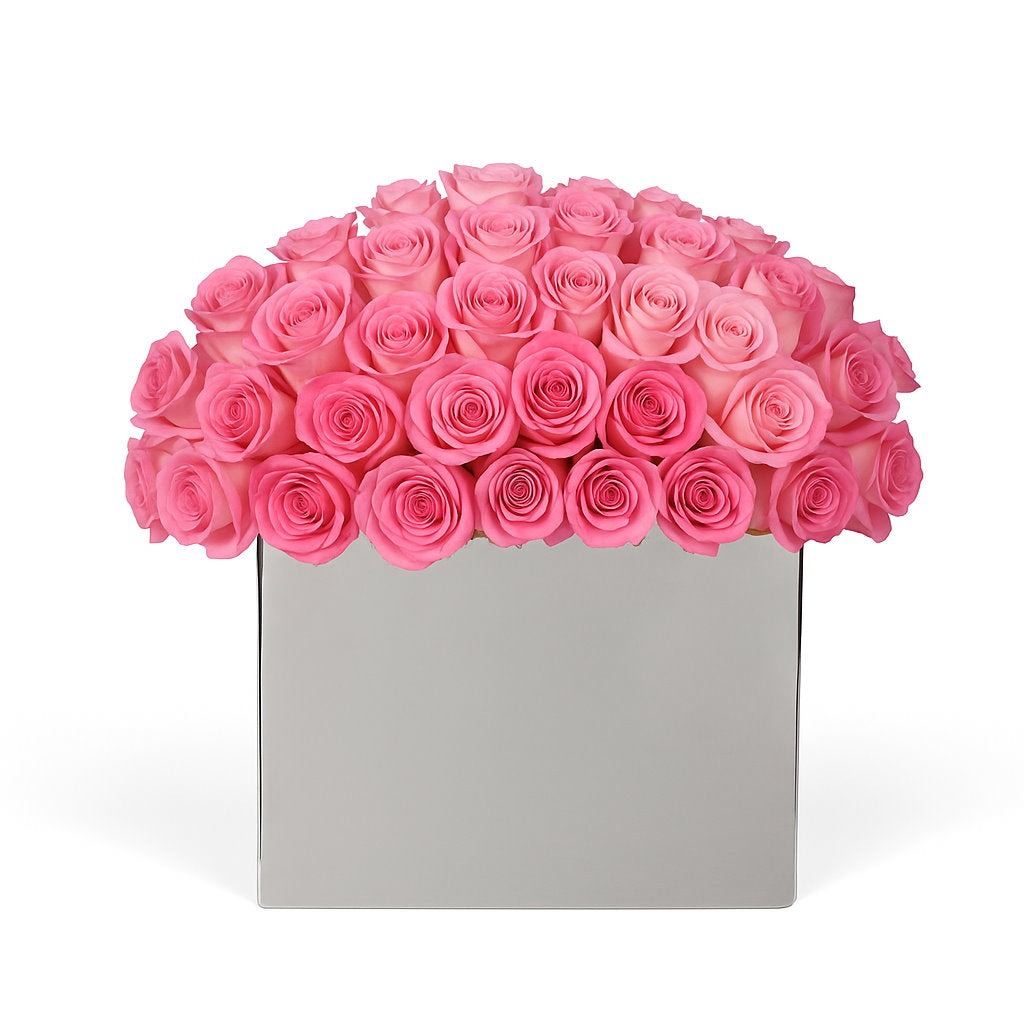 Pink roses in a white box on a white background