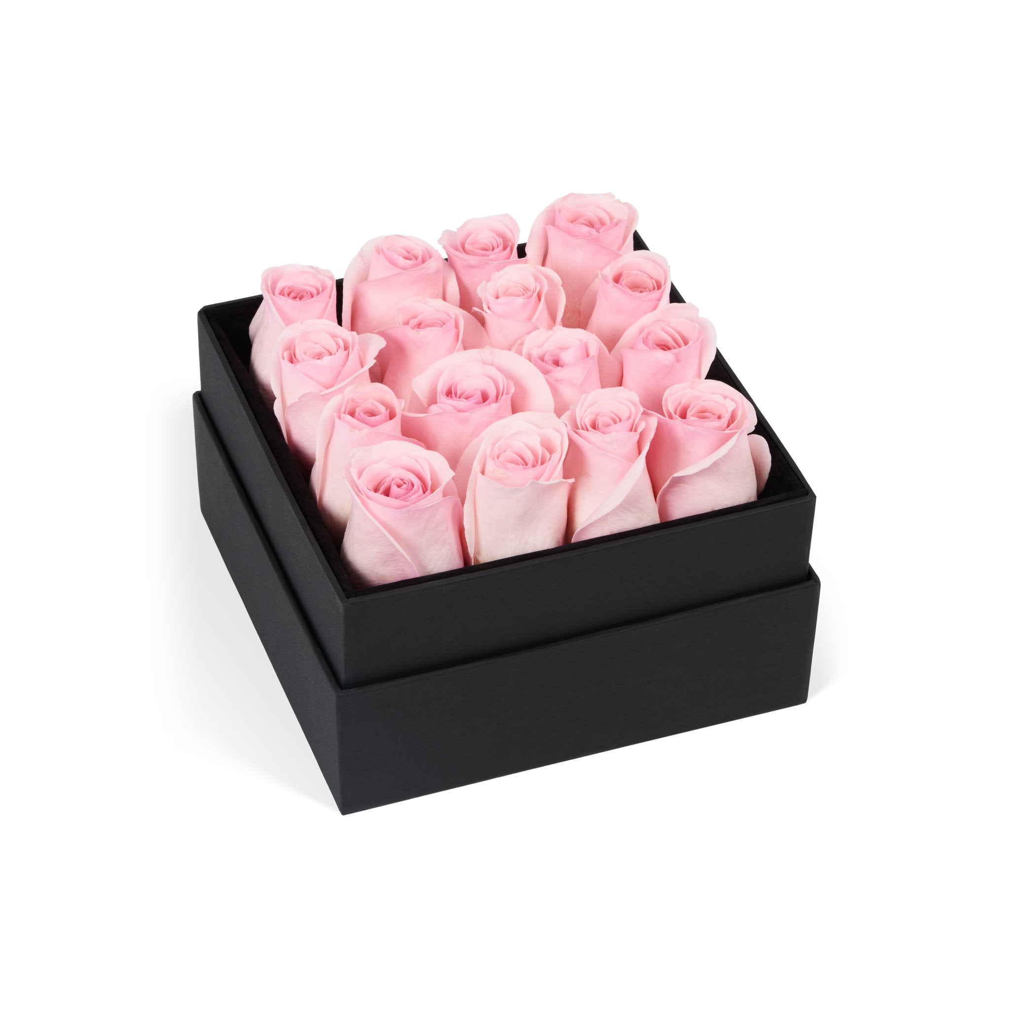 Black box with pink roses on a white background
