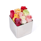 Assorted colored roses in a silver cube container on a white background