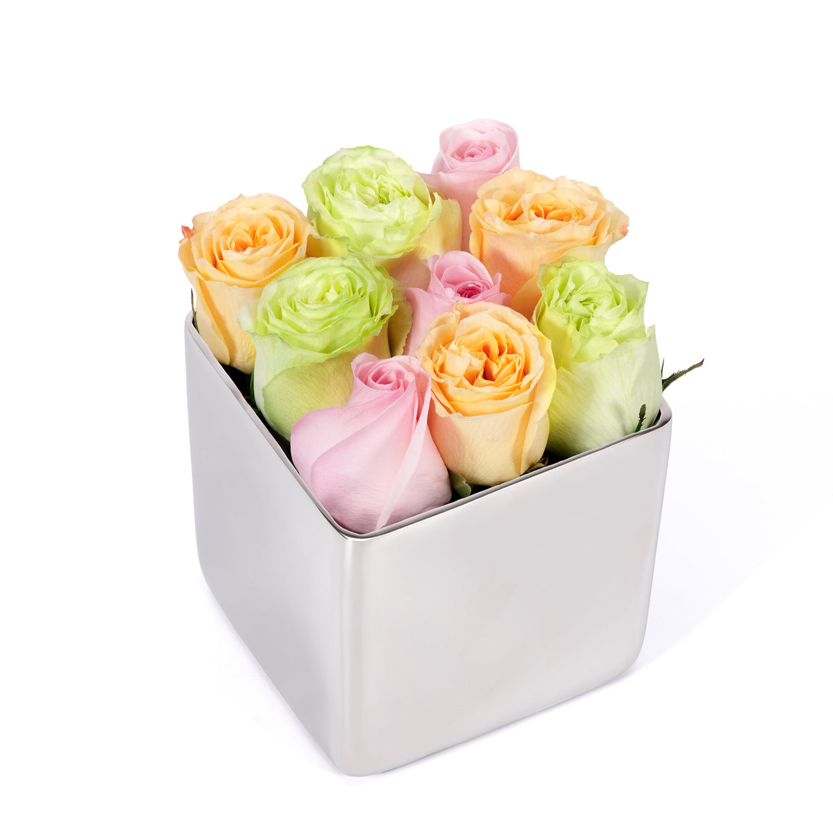 Classic Rose Silver Cube - Pastel Mix | OnlyRoses Qatar