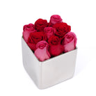 Silver cube container filled with red and pink roses on a white background