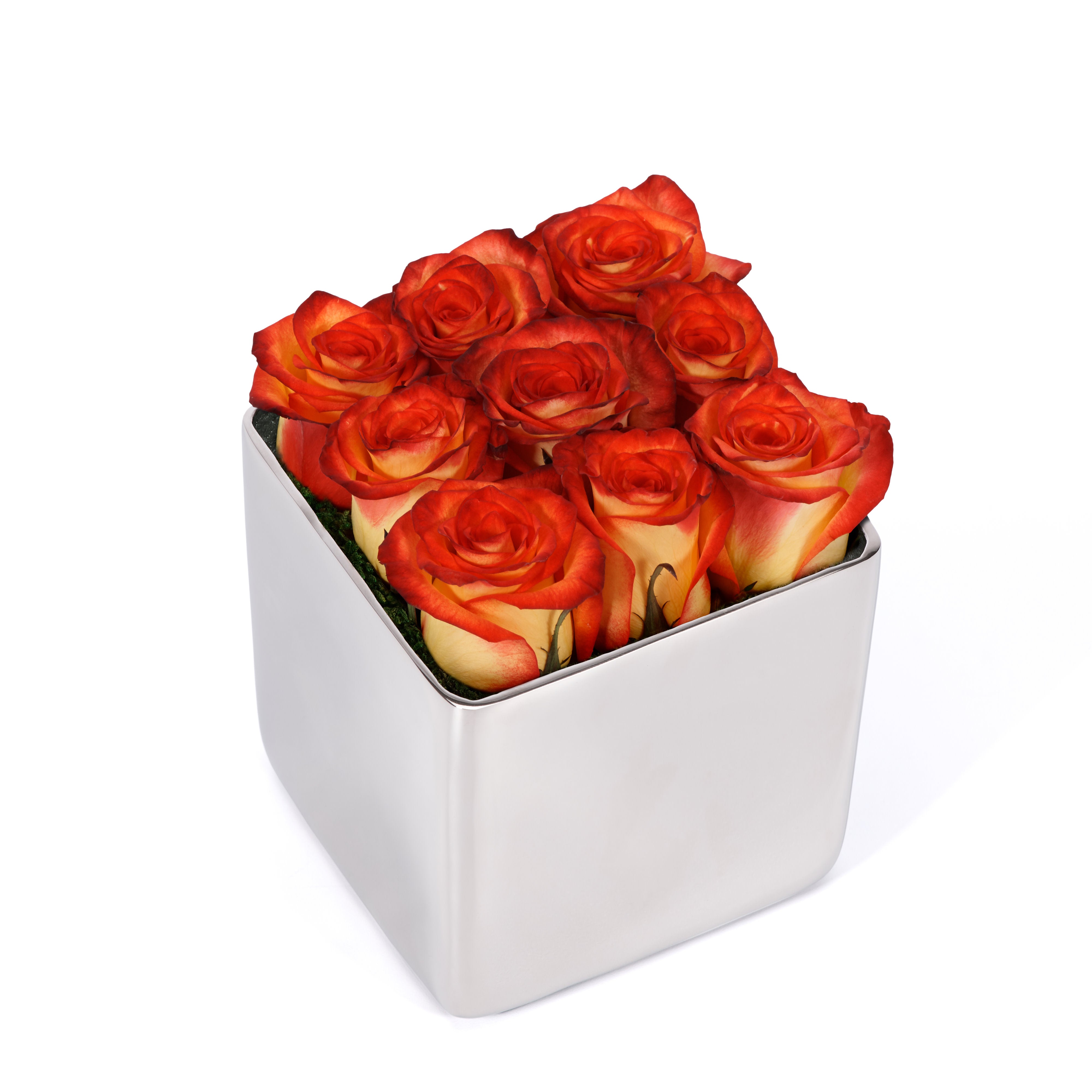Bouquet of red roses in a silver cube container on a white background