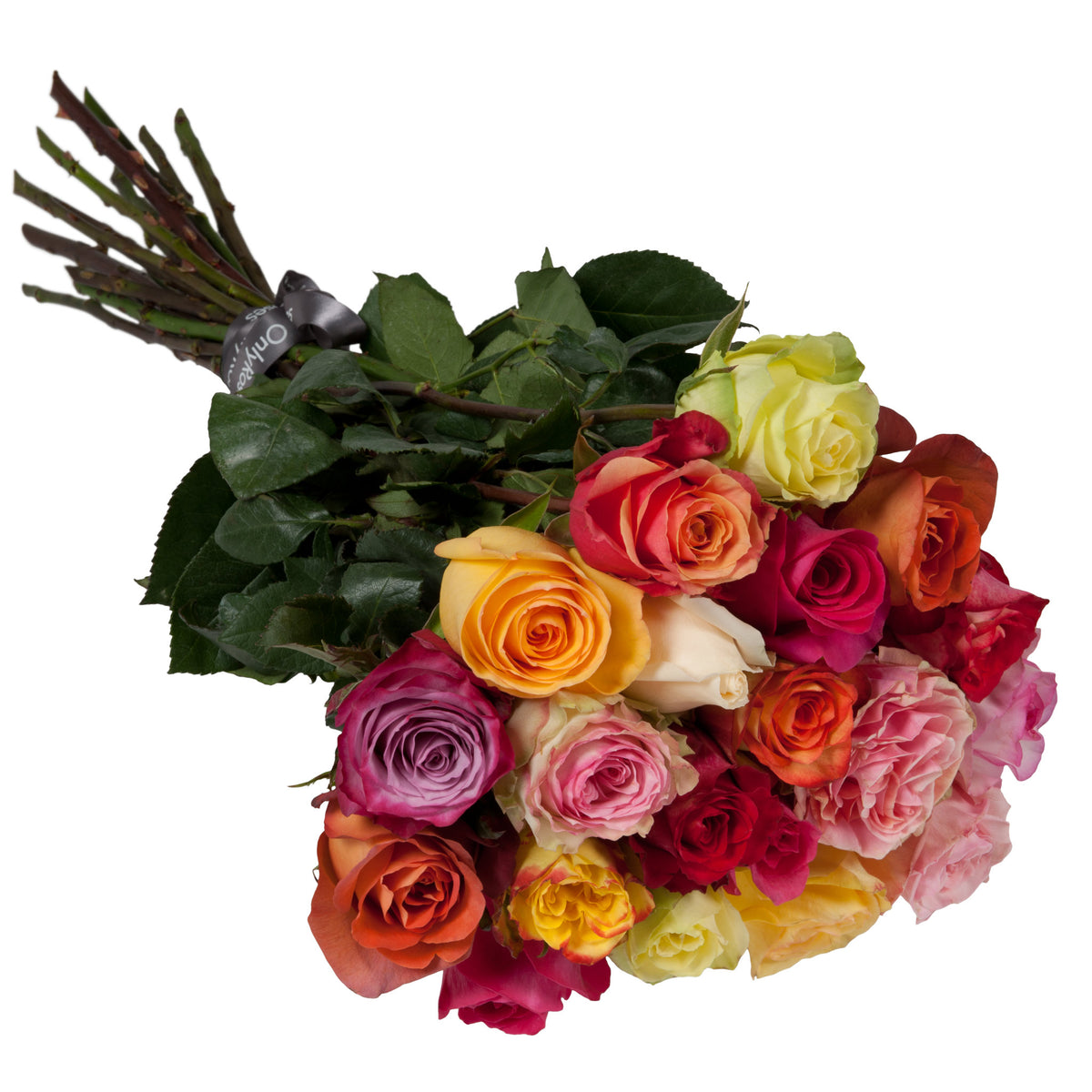 Classic Rose Stems - Bright Mix | OnlyRoses Qatar