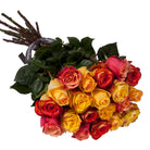 Bouquet of multicolored roses with green leaves on a white background