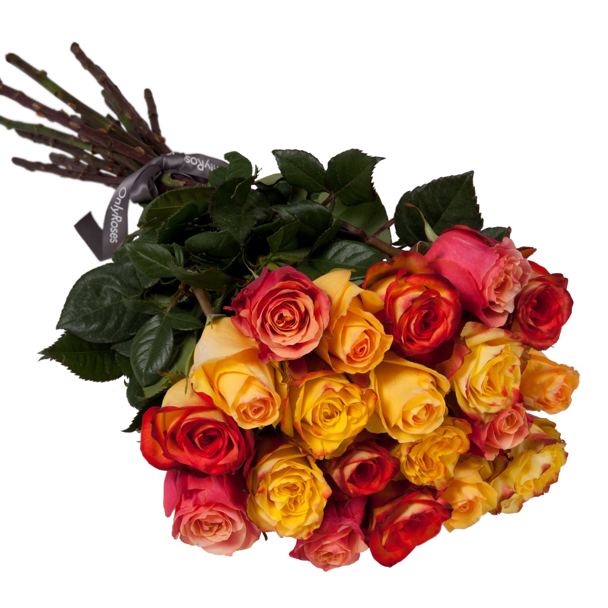 Bouquet of multicolored roses with green leaves on a white background