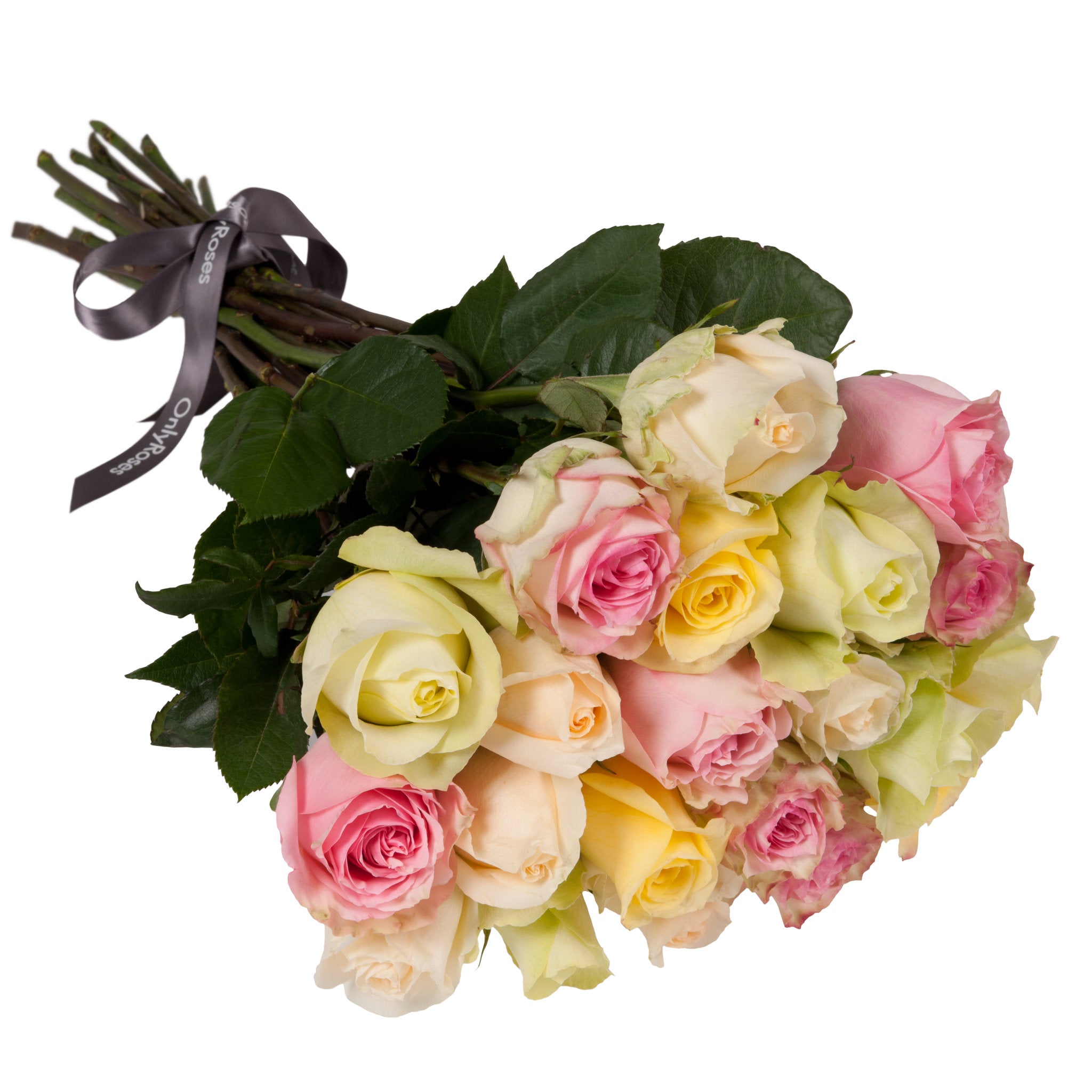 Bouquet of pink, yellow, and white roses with a dark ribbon on a white background