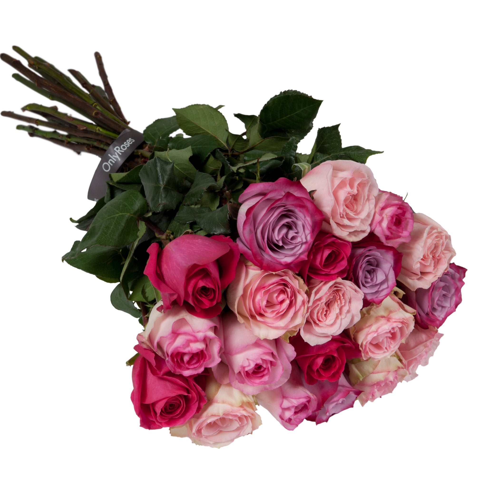 Bouquet of pink and red roses with green leaves on a white background