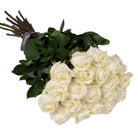 Bouquet of white roses with green leaves on a white background