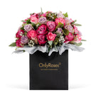 Bouquet of pink and purple roses in a black 'Only Roses' bag on a white background