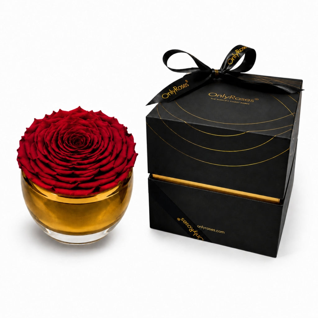 Infinity Roses Qatar Infinite Rose Aurelia Red Tones | Luxury Preserved Roses | OnlyRoses Qatar