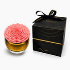 Pink rose in a gold vase with a black box labeled 'Only Roses' on a white background