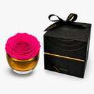 Pink rose in a glass vase with a black gift box on a white background