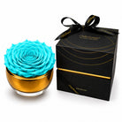 Blue rose in a gold container with a black box labeled 'Only Roses' on a white background