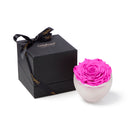 Pink rose in a white bowl with a black box featuring 'Only Moses' branding on a white background