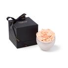 Black gift box with a black ribbon and 'Only Roses' branding next to a white bowl with a pink rose inside on a white background.