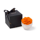 Orange rose in a white bowl next to a black gift box with a bow on a white background