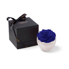 Blue rose in a white vase next to a black gift box with 'Only Roses' branding on a white background