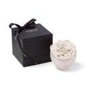 White rose in a bowl with a black box featuring 'Only Moses' branding on a white background