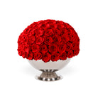 Bouquet of red roses in a white vase on a white background